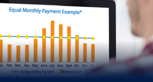 UniSource Energy Services: Budget Billing