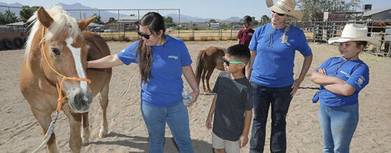 UniSource Energy Services: Helping Hands for Kingman’s Healing Hooves