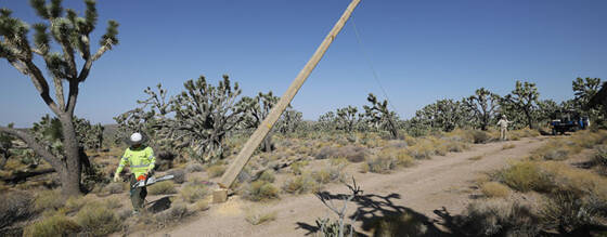 UniSource Energy Services: Taking a Walk Among Joshua Trees